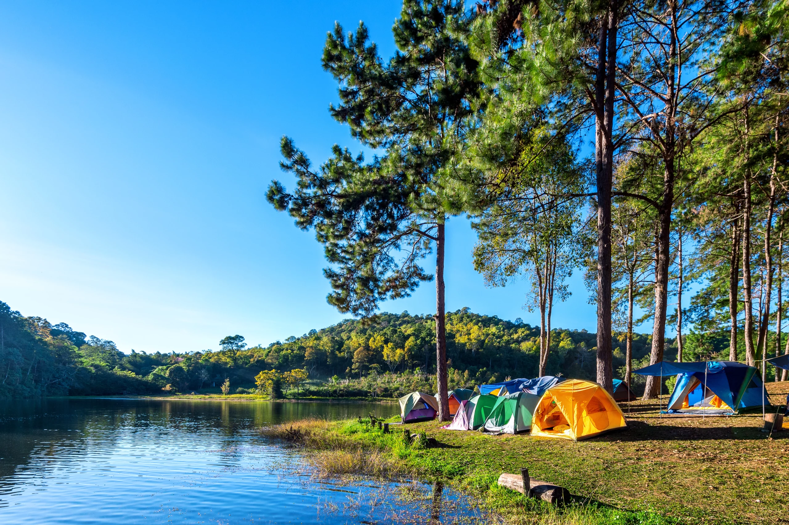 Camping Le Rove : Votre Guide Complet pour des Vacances sur la Côte Bleue en 2026